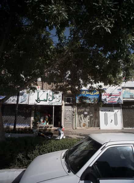 عکس گل اهورا در رسالت مشهد