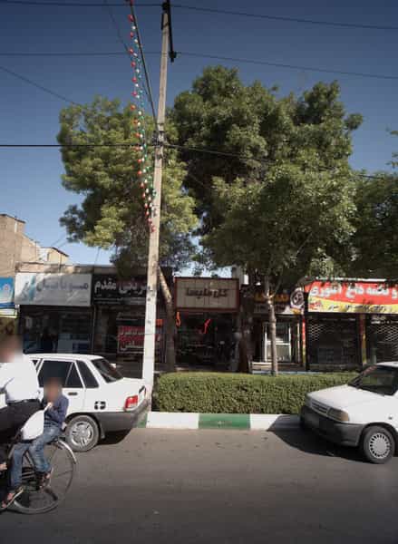 عکس گل ملیسا در رسالت مشهد