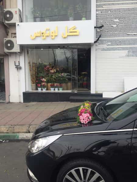 عکس گل فروشی لوتوس در رجائی شهر کرج
