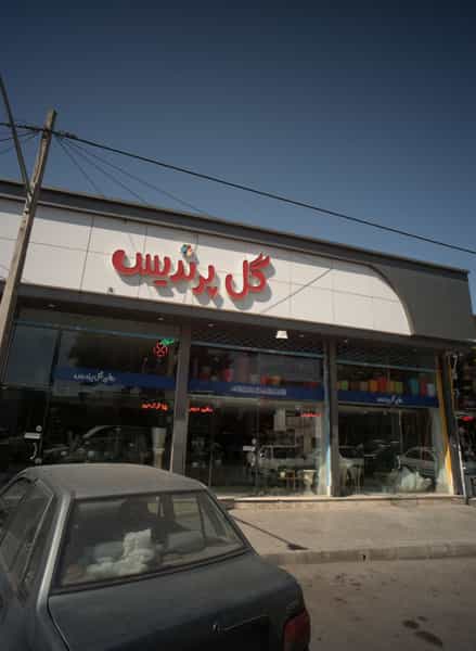 عکس گل پرندیس کوی امیرالمومنین مشهد