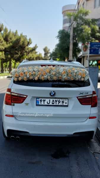 عکس گلفروشی ایران هلند کوی کارمندان شمالی کرج