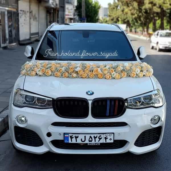 عکس گلفروشی ایران هلند کوی کارمندان شمالی کرج