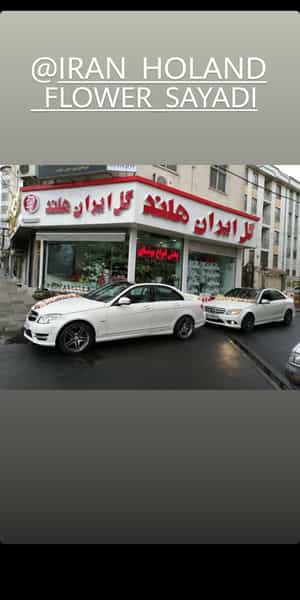 عکس گلفروشی ایران هلند کوی کارمندان شمالی کرج