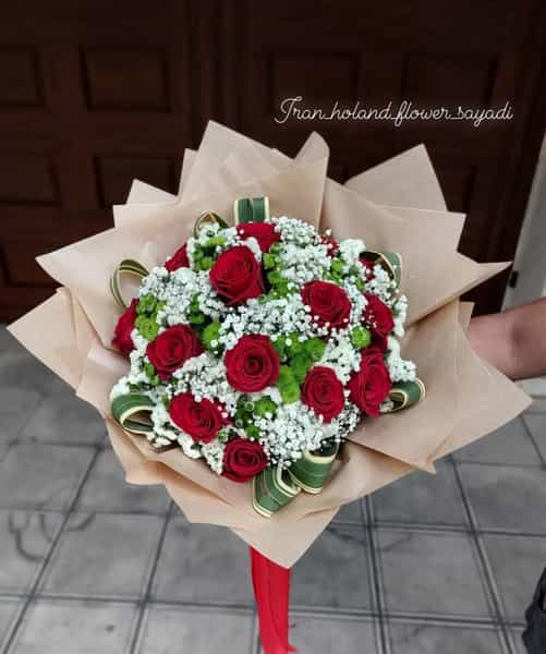 عکس گلفروشی ایران هلند کوی کارمندان شمالی کرج