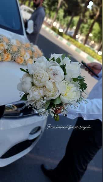 عکس گلفروشی ایران هلند کوی کارمندان شمالی کرج