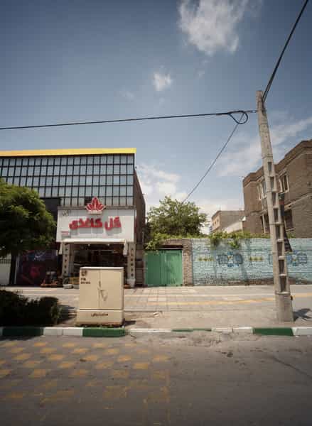 عکس گل کاغذی نوین در فرهنگ مشهد