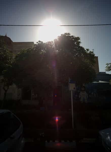 عکس گل فروشی در شهید بهشتی مشهد