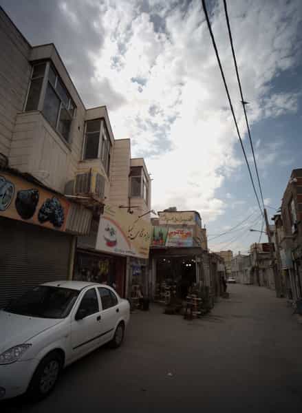 عکس شهر کاکتوس در سمرقند مشهد