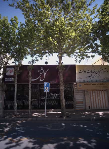 عکس گل عشق در راهنمایی مشهد