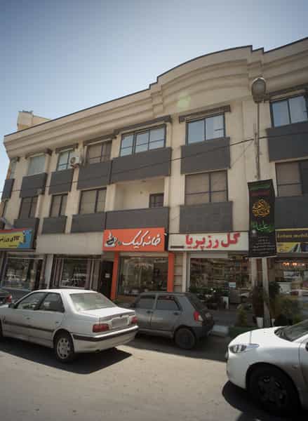 عکس گل رز پریا در کوثر مشهد