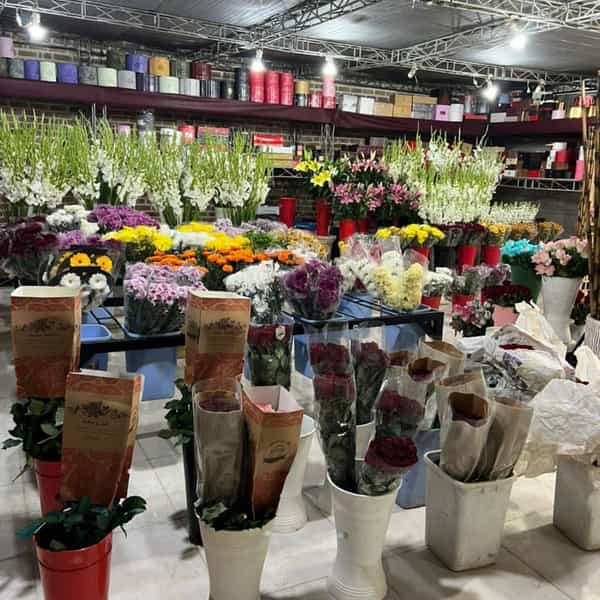 عکس گلفروشی علی در گلشهر ویلا کرج