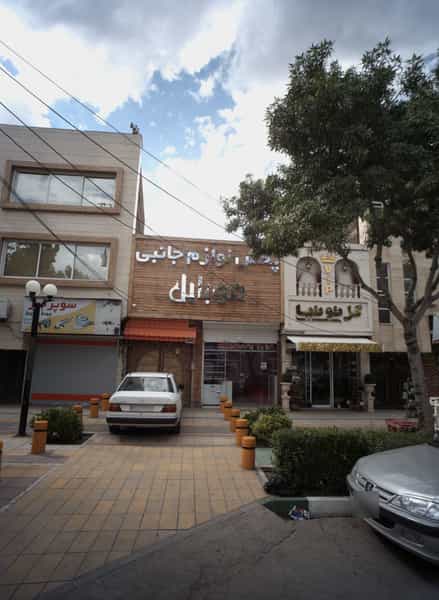 عکس گل توتیا در رسالت مشهد