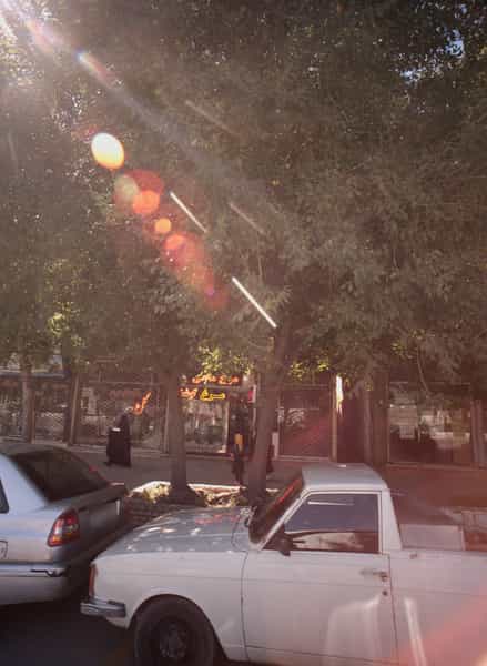 عکس گلفروشی در پنجتن آل عبا مشهد