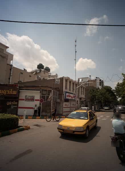 عکس گل معلومات در گلشور مشهد