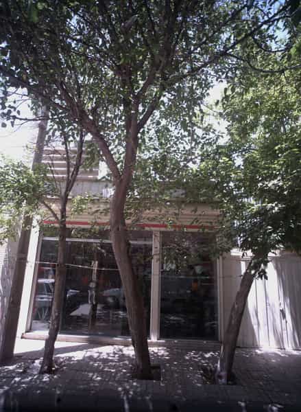 عکس گل فروشی در طبرسی شمالی مشهد