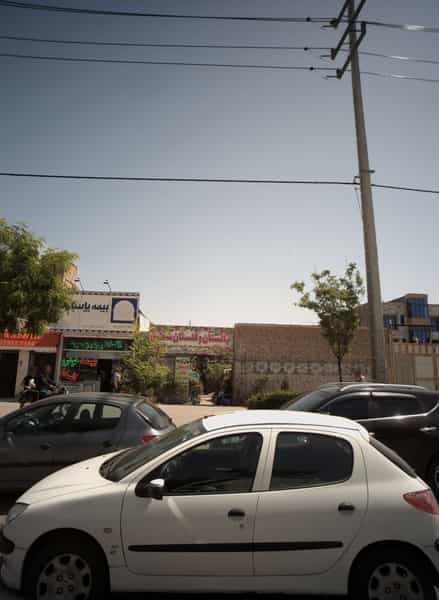 عکس نهالستان و گلستان شقایق در شهید مطهری مشهد