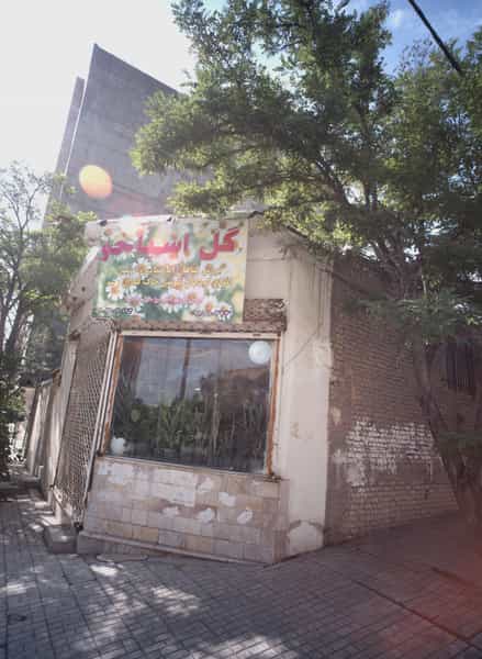 عکس گل اسپاخو در شهرآرا مشهد