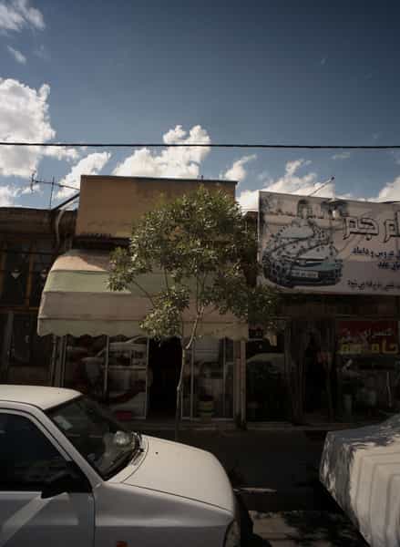 عکس گل فروشی در طلاب مشهد