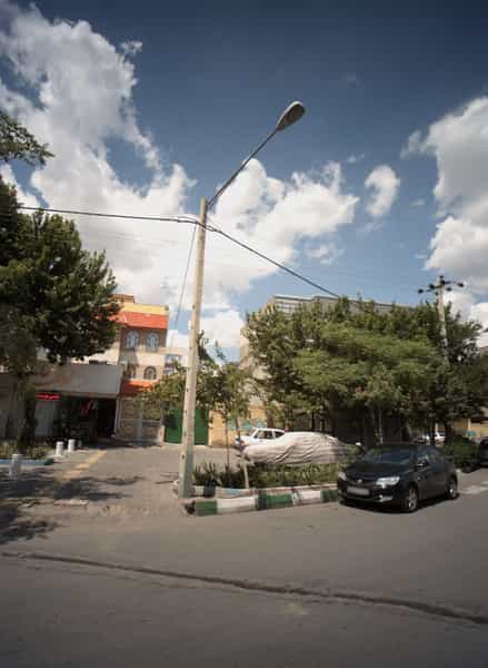 عکس گل در اقبال مشهد