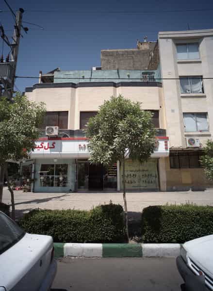 عکس گل گیشا در سید رضی مشهد