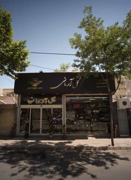 عکس گل آرمانی در راهنمایی مشهد