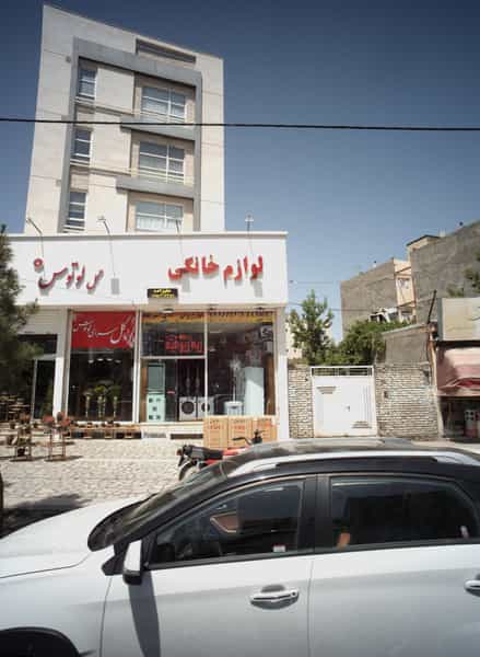 عکس گل لوتوس در تربیت مشهد