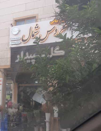 عکس گل فروشی سپیدار در رشتیان رشت