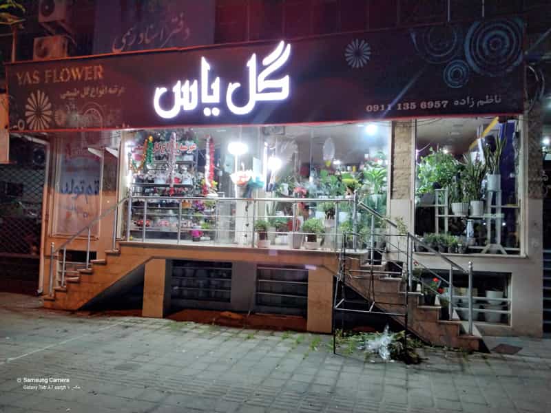 عکس گل یاس کوی سازمان آب منطقه ای رشت