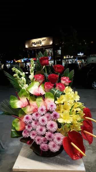 عکس گلهای وطن آبادی در رشتیان رشت