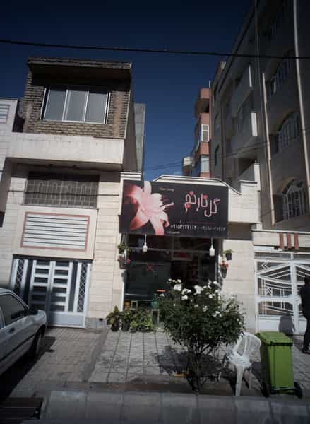 عکس گل نارنج در فرامرز عباسی مشهد