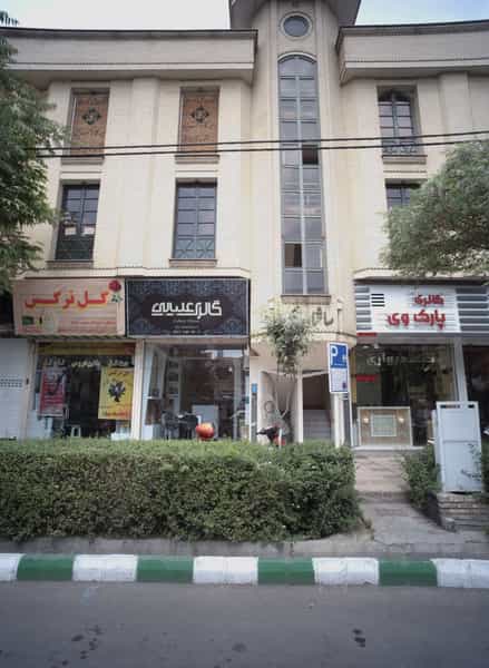 عکس گل نرگس در آبکوه مشهد