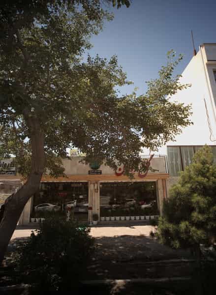 عکس گل ژالان در هنرستان مشهد