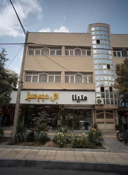 عکس گل حجم سبز در هنرستان مشهد