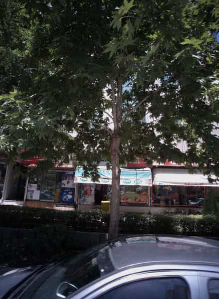 عکس گل فروشی در هنرستان مشهد