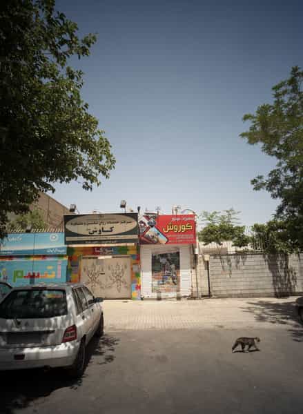 عکس مرکزخدمات روان شناسی و مشاوره کاوش در شریف مشهد