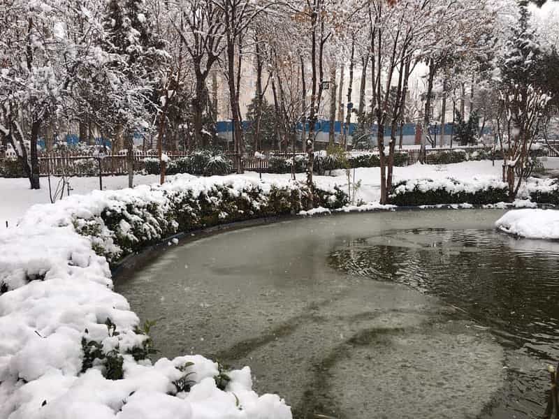 عکس رستوران باغ لاله در پونک شمالی تهران