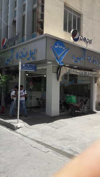 عکس پرنده آبی شعبه فلسطین در سینما سعدی شیراز