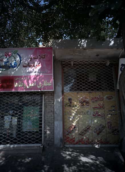 عکس ساندویچ تک پرملات در خواجه ربیع مشهد