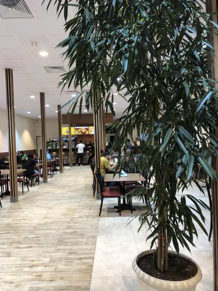 عکس پیتزا خونه در کوشش مشهد