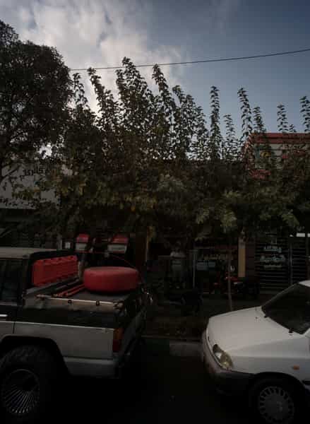 عکس مرغ بریان در آبشار تهران