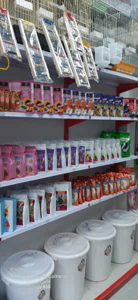 عکس پت شاپ لوسی در خانی آباد شمالی تهران