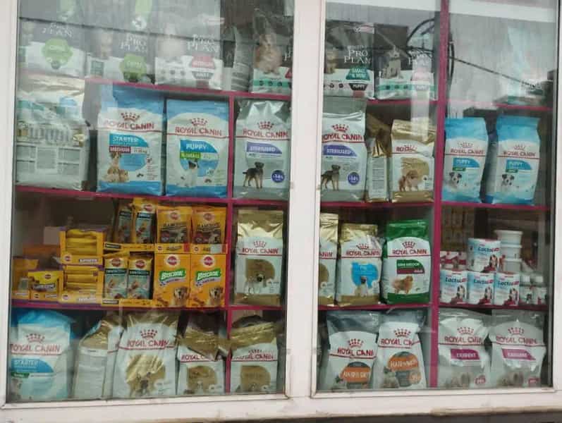 عکس پت شاپ مینگو Mingo Pet در سلسبیل جنوبی تهران