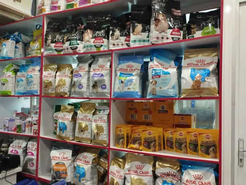 عکس پت شاپ مینگو Mingo Pet در سلسبیل جنوبی تهران