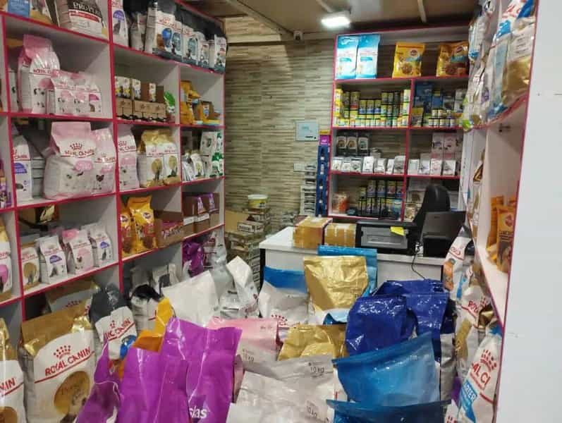 عکس پت شاپ مینگو Mingo Pet در سلسبیل جنوبی تهران