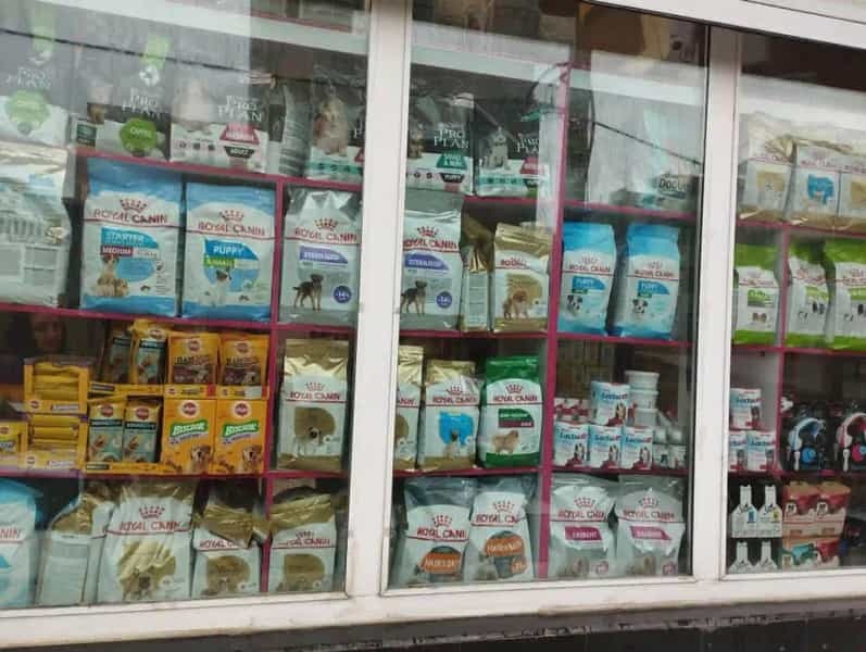عکس پت شاپ مینگو Mingo Pet در سلسبیل جنوبی تهران