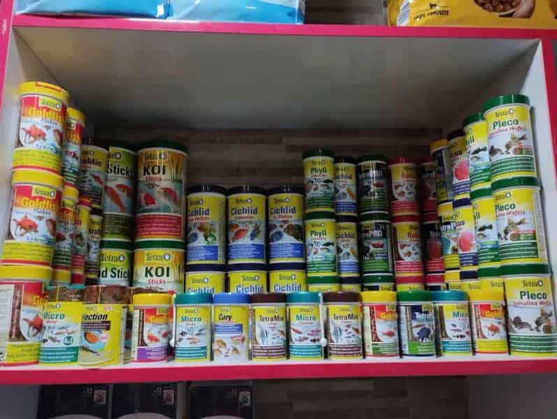 عکس پت شاپ مینگو Mingo Pet در سلسبیل جنوبی تهران