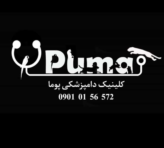 عکس پت شاپ پوما در جنت آباد مرکزی تهران
