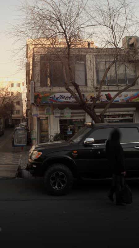 عکس پت شاپ پرطلایی در کاج تهران