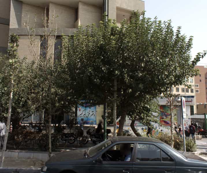 عکس دفتر فنی امیر کبیر در ولیعصر 