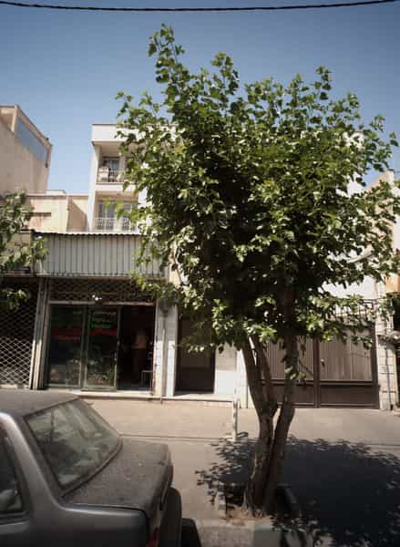 عکس مسکن گلها در ارامنه تهران